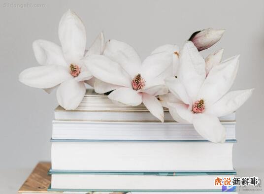 重阳节真是老人节吗?