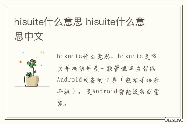 hisuite什么意思