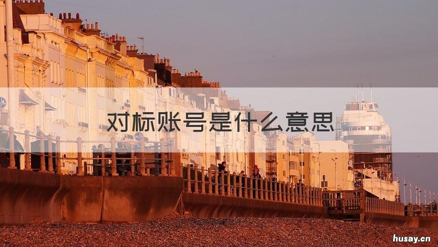 对标账号是什么意思 对标账号是什么意思啊