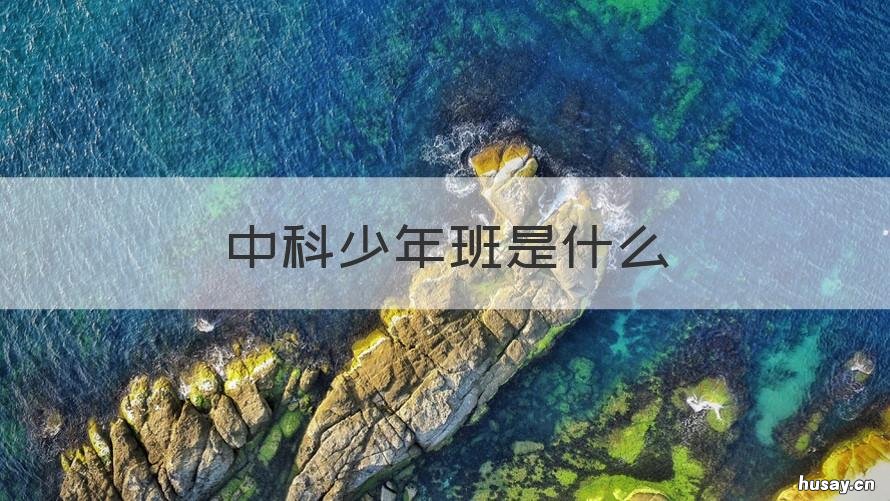 中科少年班是什么 中科大少年班 百度百科