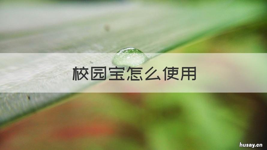 校园宝怎么使用 校园宝如何收费的