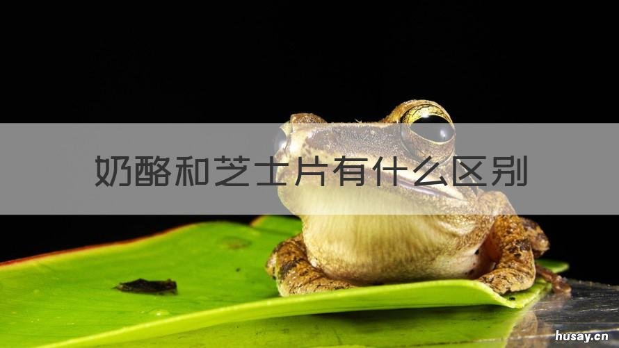 奶酪和芝士片有什么区别 芝士片跟奶酪片有什么区别