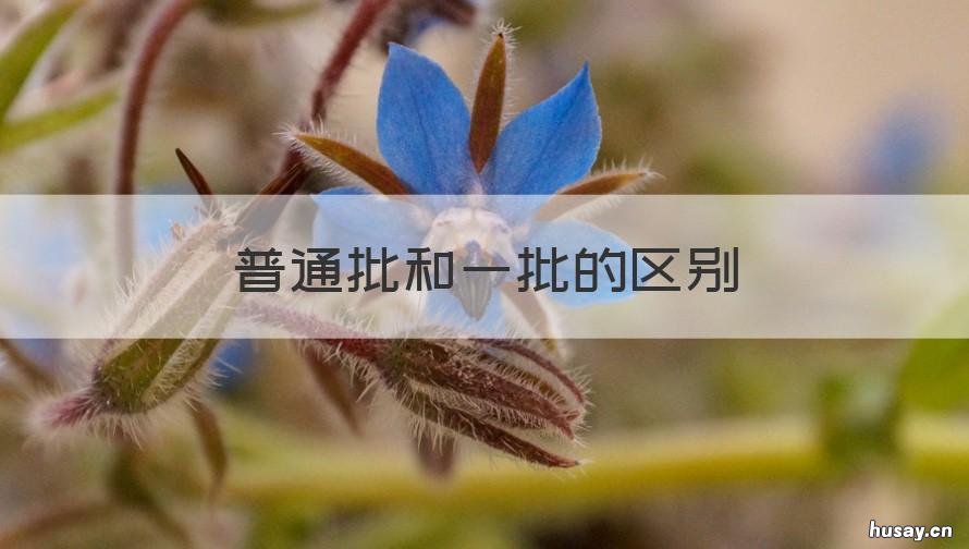 普通批和一批的区别 二批和一批的区别