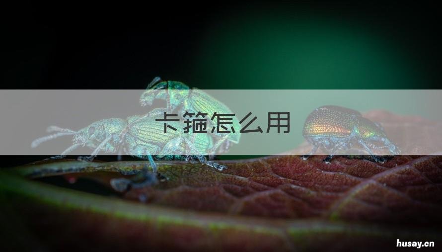 卡箍怎么用 出水管卡箍怎么用