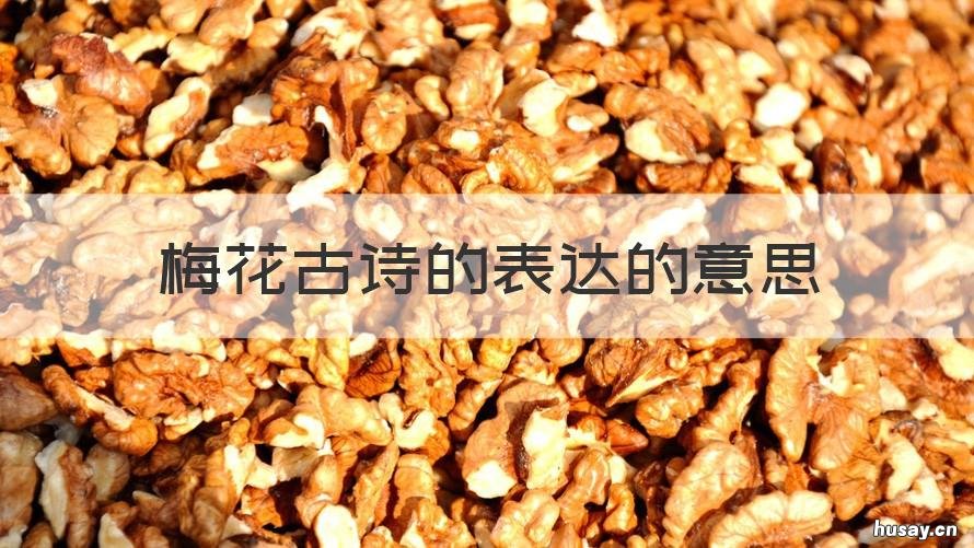 梅花古诗的表达的意思 梅花古诗的表达的意思二年级