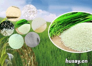 肾虚可以吃哪些食物调理 肾虚不宜吃哪些食物