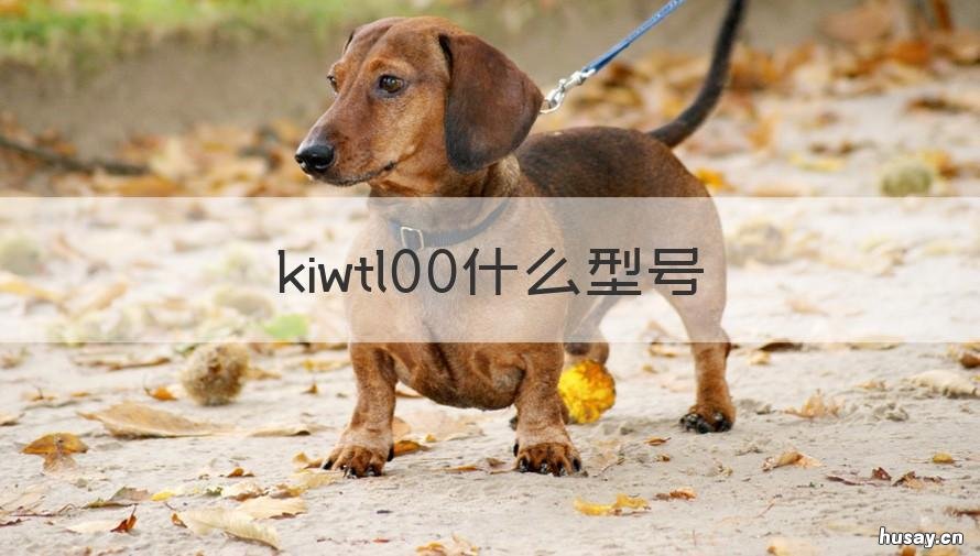 kiwtl00什么型号 kiwtl00配置