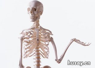 你对骨骼的养生知识了解多少 骨骼的健康