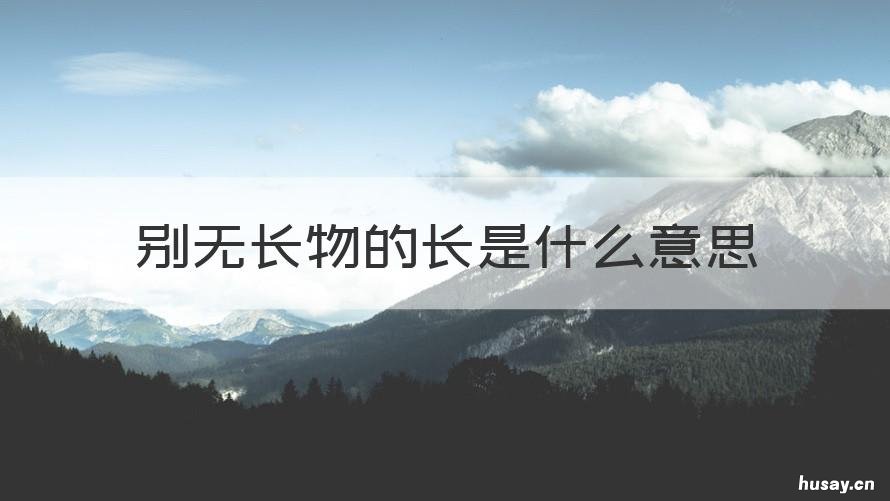 别无长物的长是什么意思 别无长物的长物是什么意思