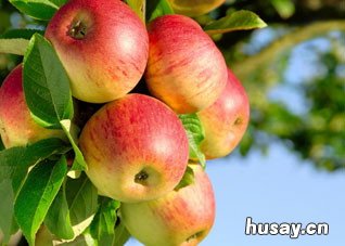 可以让你长寿的食物类型 让人长寿的食物有哪些