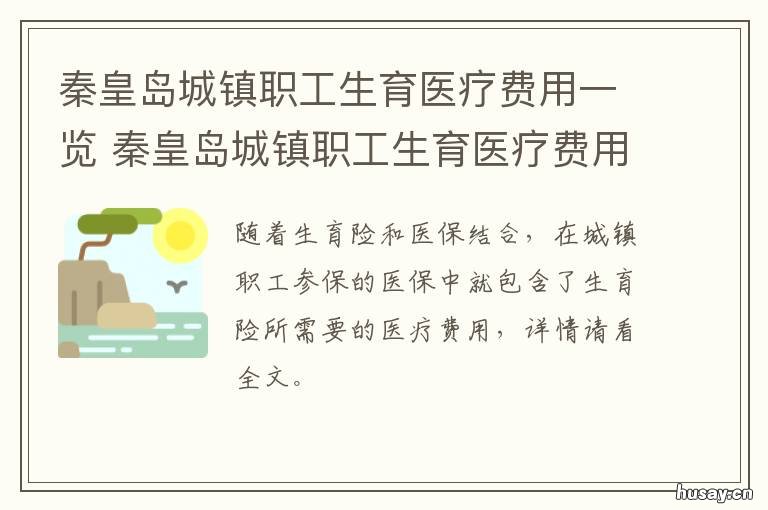 秦皇岛城镇职工生育医疗费用一览 河北省秦皇岛市生育津贴文件