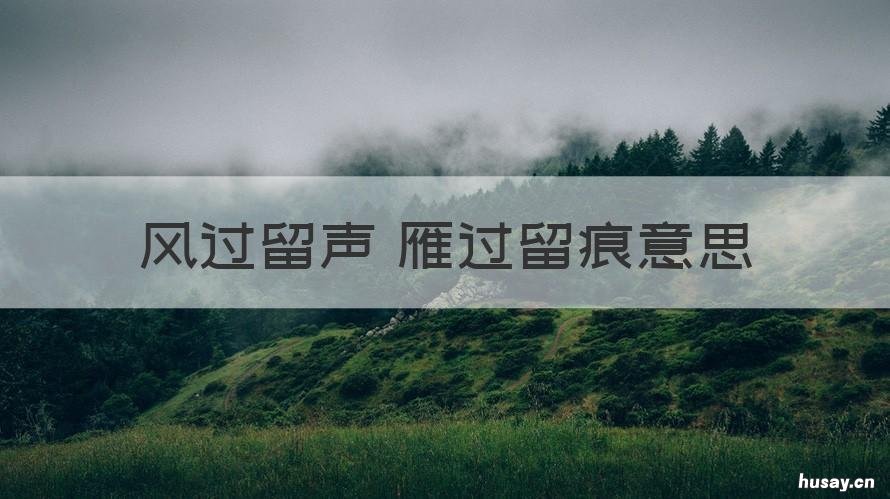 风过留声 雁过留痕意思 风过不留痕雁过不留声什么意思