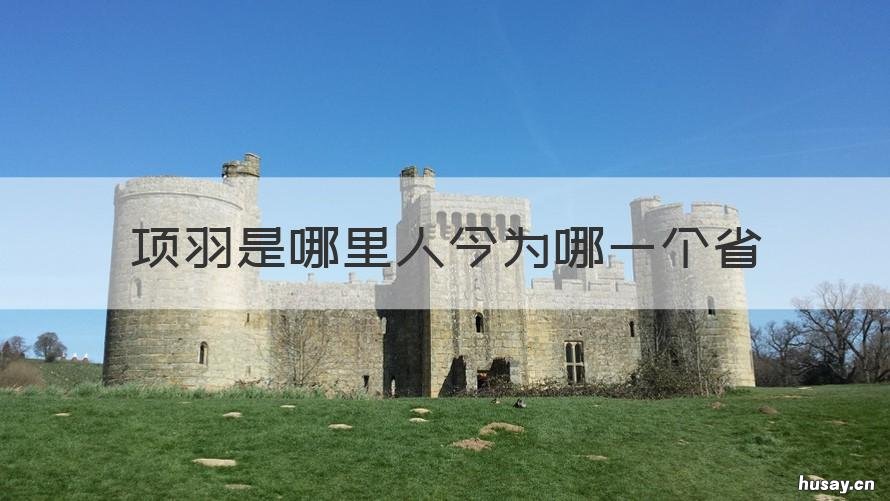 项羽是哪里人今为哪一个省 项羽出生在哪个省