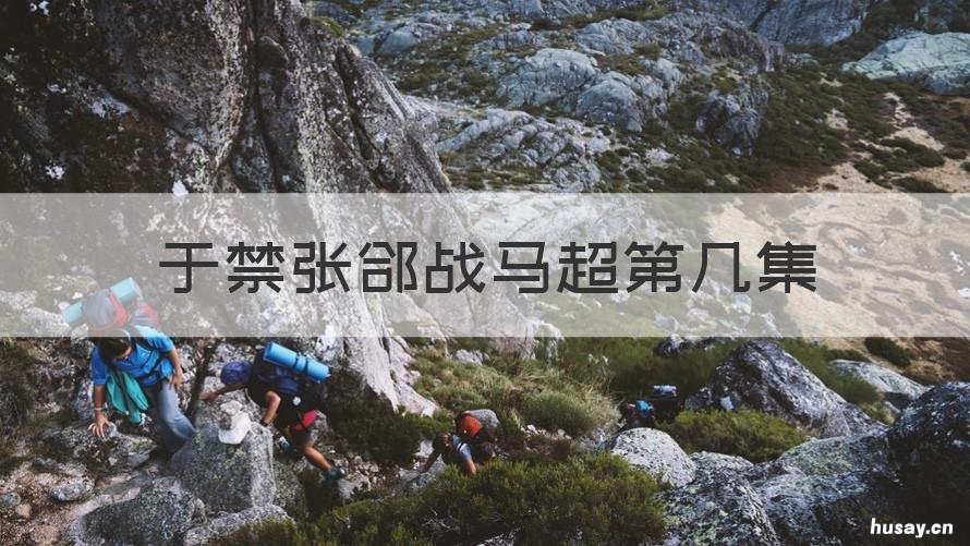 于禁张郃战马超第几集 马超战于禁张郃是哪一集