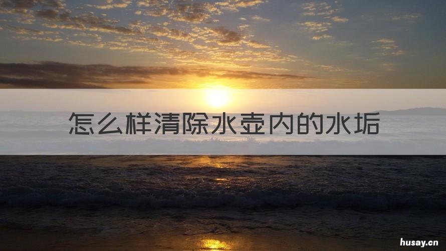 怎么样清除水壶内的水垢 怎么清理水壶里的水垢