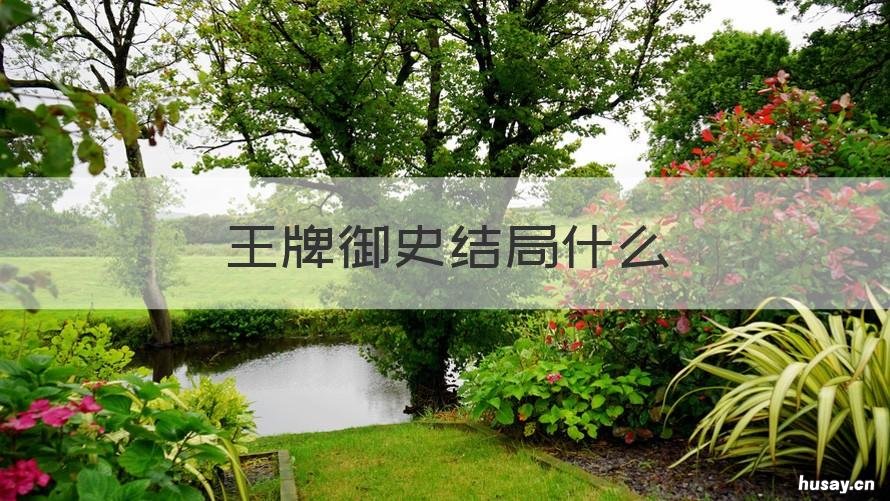 王牌御史结局什么 王牌御史的主角是谁