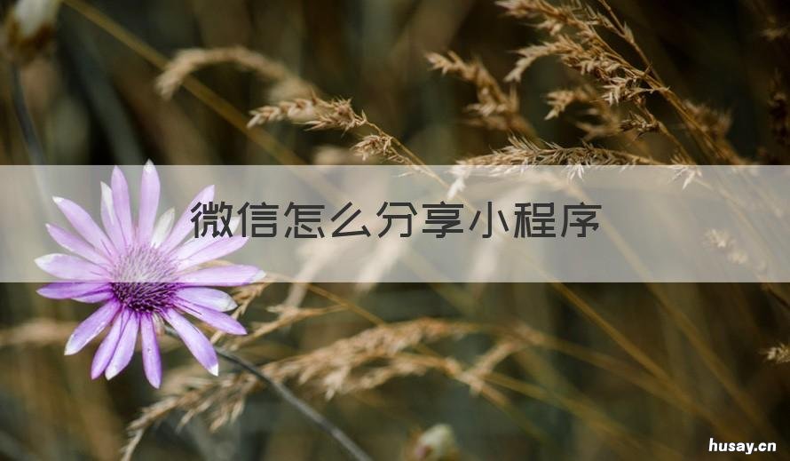 微信怎么分享小程序 微信怎么分享小程序给朋友