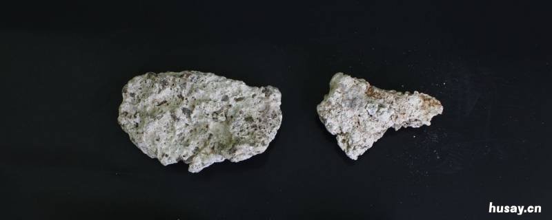 鲸鱼的粪便是什么香 龙涎香是鲸鱼的粪便吗