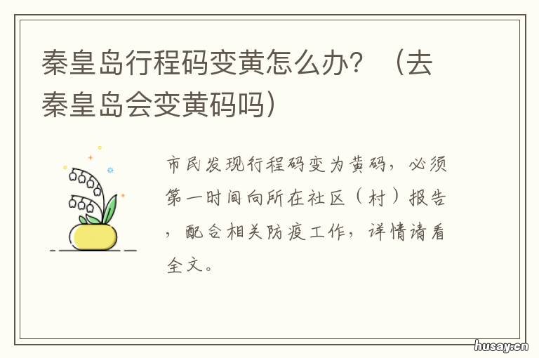 秦皇岛行程码变黄怎么办？ 行程码变黄是什么样