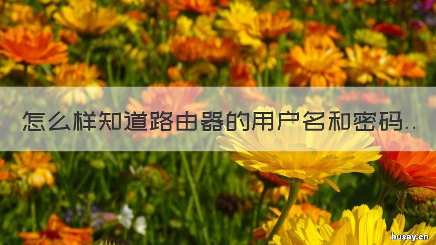 怎么样知道路由器的用户名和密码 天津166路公交车发车时间