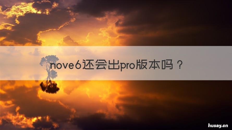 nove6还会出pro版本吗 华为nova6有pro版吗