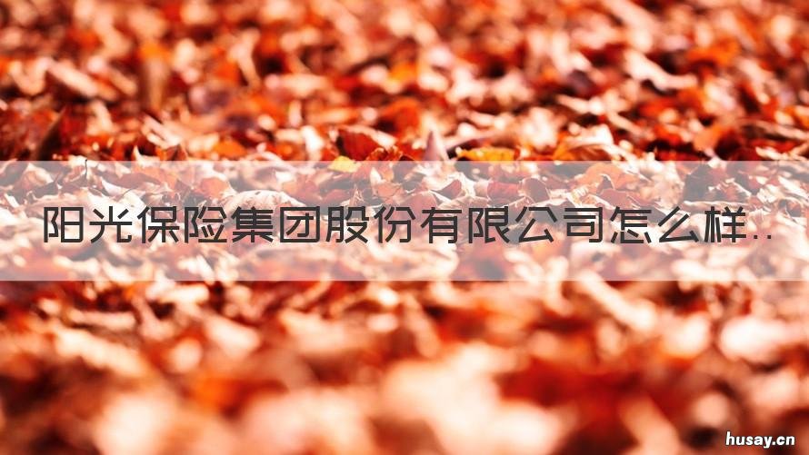 阳光保险集团股份有限公司怎么样 阳光保险集团总公司在哪里