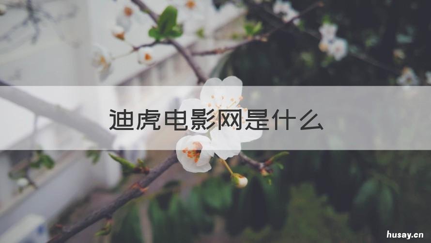 迪虎电影网是什么