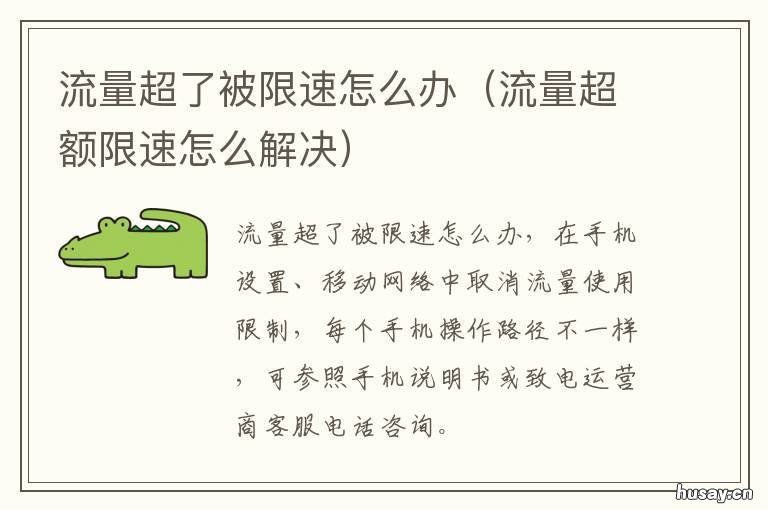 流量超了被限速怎么办 流量超了被限速怎么办啊