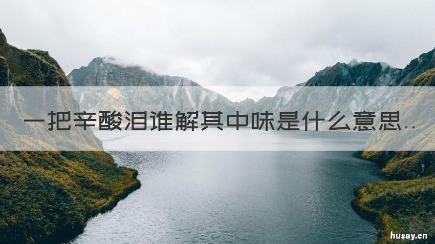 一把辛酸泪谁解其中味是什么意思 满纸辛酸泪,难解个中味