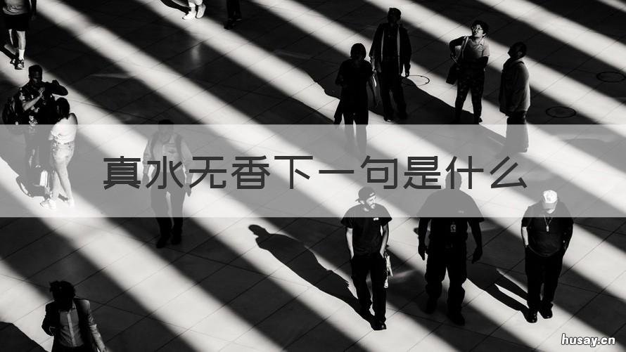 真水无香下一句是什么 真水应无香