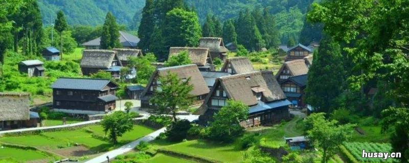 乡三有是哪几个 三乡镇是哪里