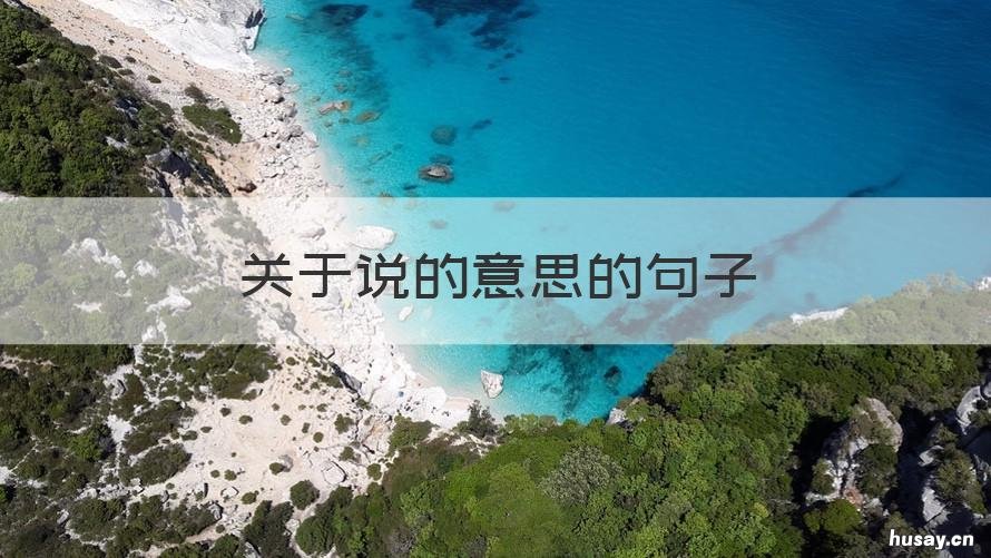 关于说的意思的句子 带有说的意思的句子