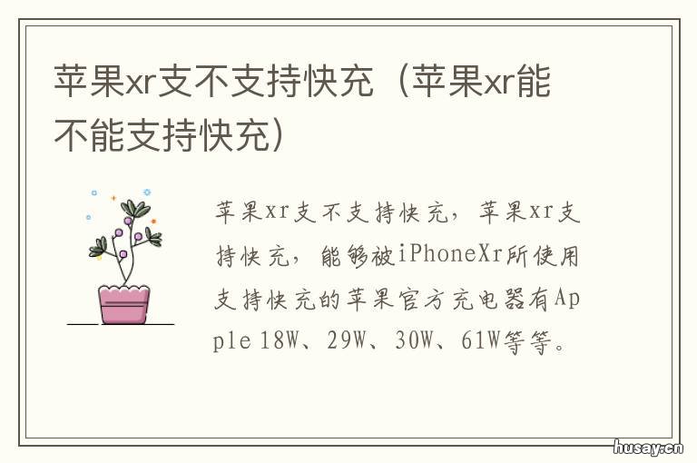 苹果xr支不支持快充 苹果XR可以支持快充吗