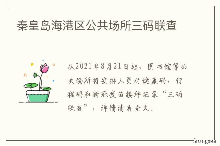 秦皇岛海港区公共场所三码联查 大连公共场所三码联查