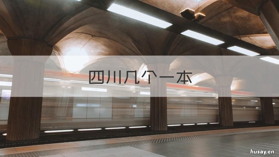 四川几个一本 四川几个一本大学