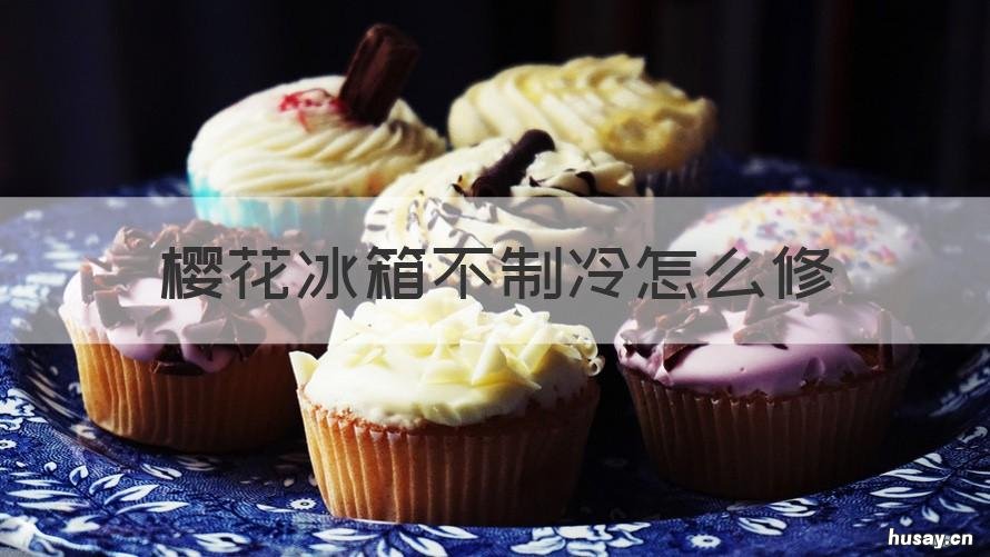 樱花冰箱不制冷怎么修 樱花冰箱不制冷怎么修图片