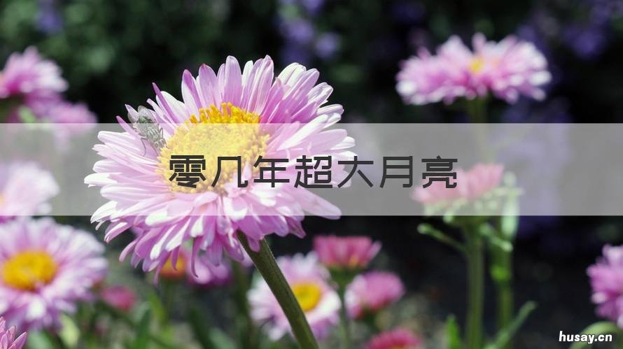 零几年超大月亮 月亮今年多大了