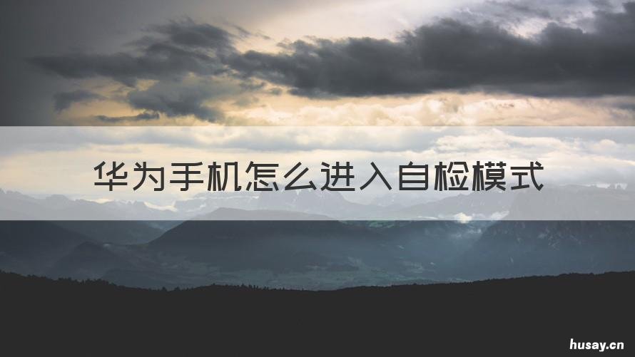 华为手机怎么进入自检模式 华为手机自检功能在哪