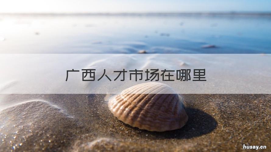 广西人才市场在哪里 广西人才市场人才