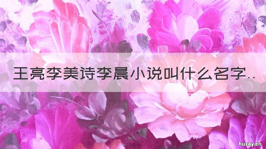 王亮李美诗李晨小说叫什么名字