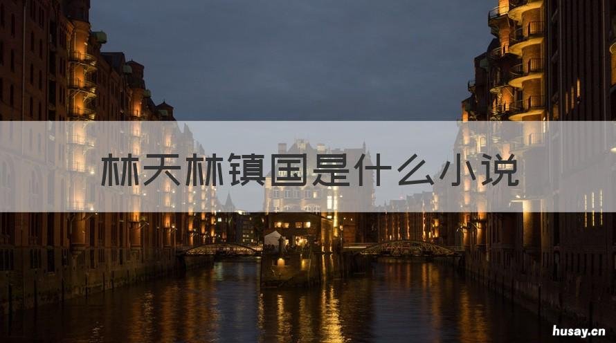 林天林镇国是什么小说 小说主角林天林镇国