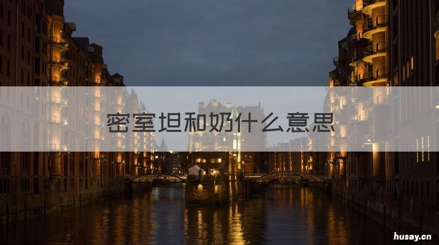 密室坦和奶什么意思 密室里面坦和奶是什么意思