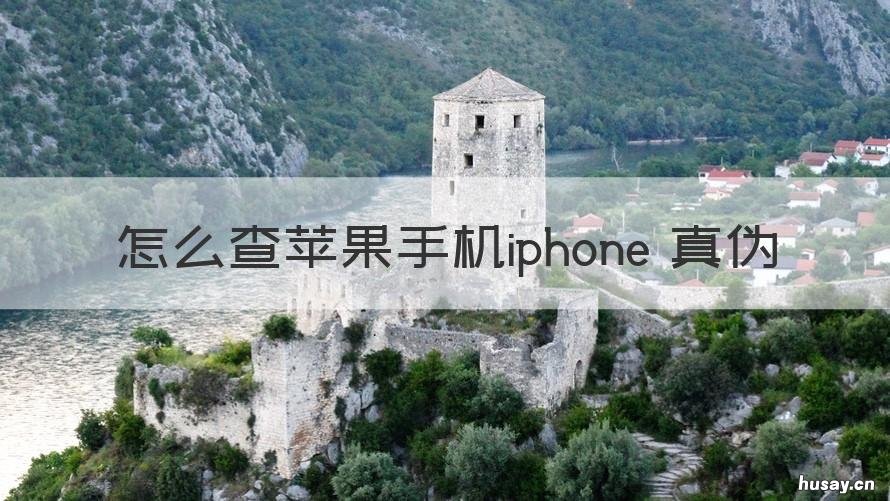 怎么查苹果手机iphone 真伪 怎么查苹果手机的真伪?