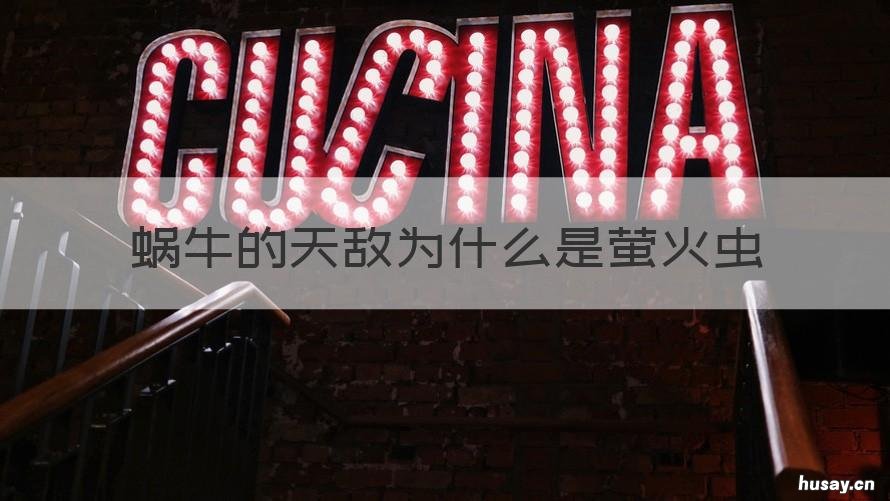 蜗牛的天敌为什么是萤火虫 萤火虫 蜗牛 天敌