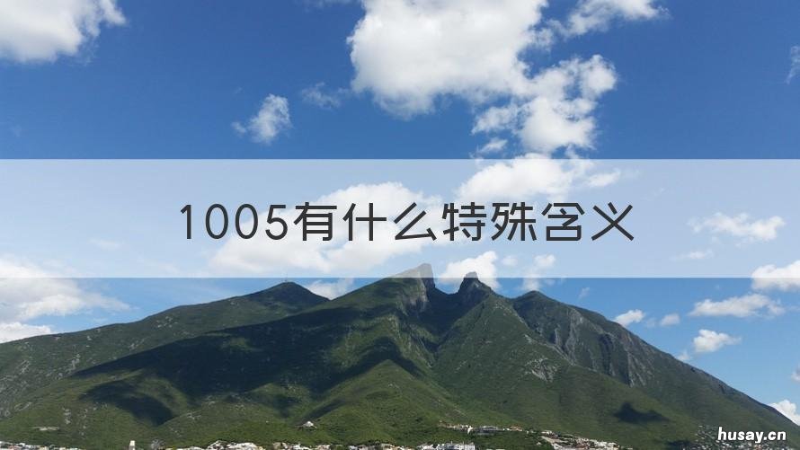1005有什么特殊含义 1005的含义
