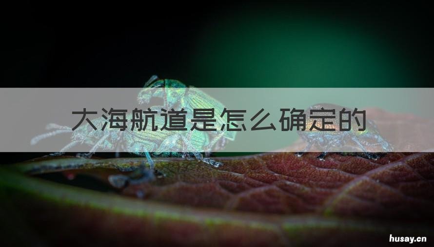 大海航道是怎么确定的 如何识别海上航道