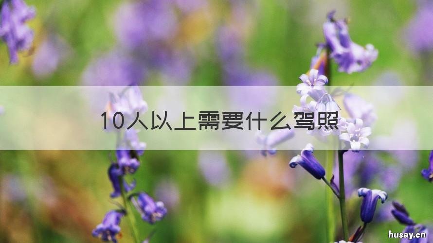 10人以上需要什么驾照 10人座车需要什么驾照