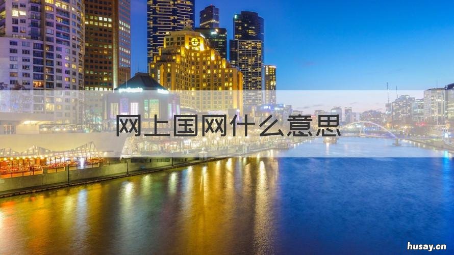 网上国网什么意思 什么是网上国网