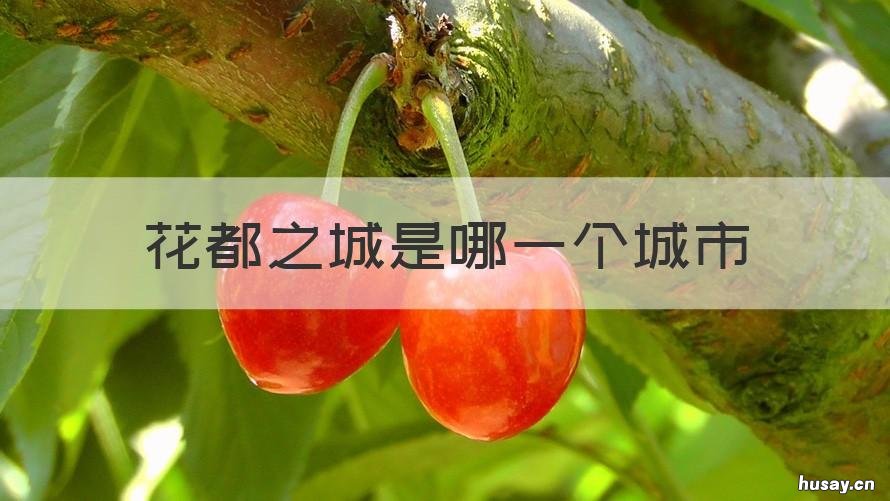 花都之城是哪一个城市 被称为花都的城市是哪里