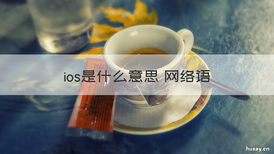 ios是什么意思 网络语 ios是什么意思网络语言